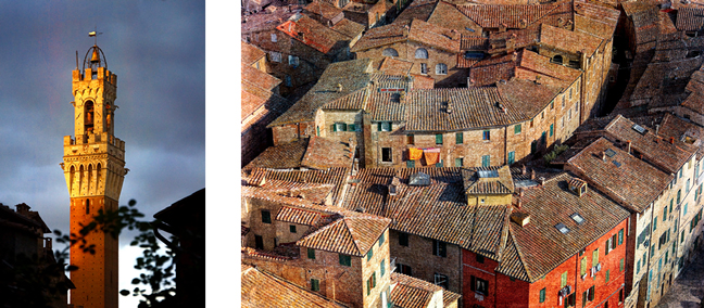 Siena views