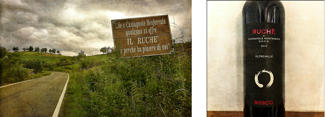 Castagnole Monferrato