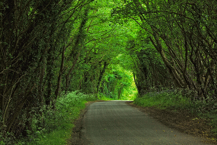 Green Tunnel